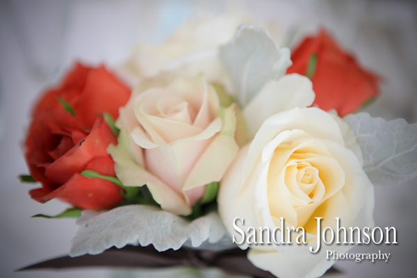 Best Orlando Wedding photographer - Sandra Johnson (SJFoto.com)